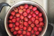 山楂红糖酱的制作方法（享受美味与健康，快速制作自家专属酱料）