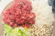 美食DIY（重口味美食，用纯手工制作的饺子，带来前所未有的口感享受）