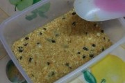 简单好做的香蕉酸奶慕斯（让你在家也能轻松享受甜点）