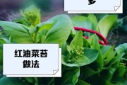 酸辣菜苔的制作方法（清爽美味，营养丰富，打造自制酸辣菜苔）