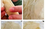 用剩馄饨皮做春卷，美味不浪费！（脆皮鲜香，营养健康，家常小吃轻松制作）