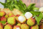 创意菜大赏（用芒果和班戟打造出诱人的美味佳肴）